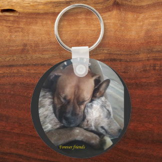 Vänner för alltid nyckelring