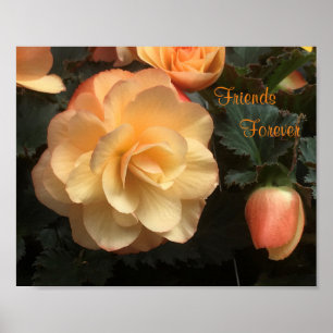 Vänner för alltid poster