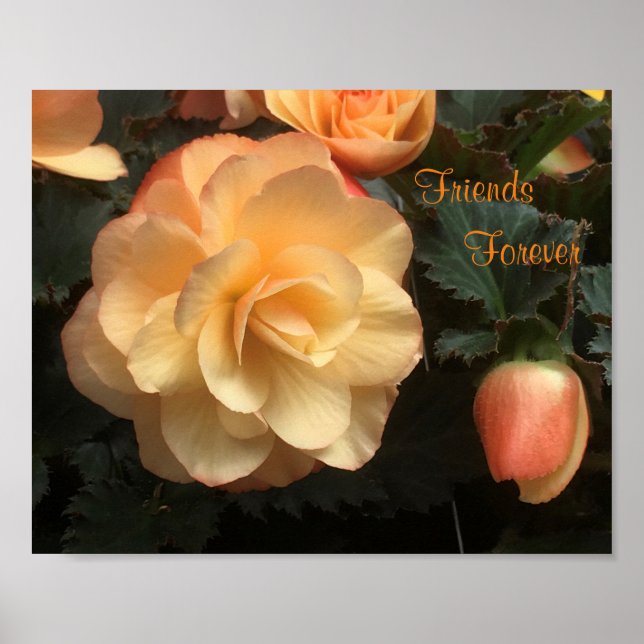 Vänner för alltid poster (Framsidan)