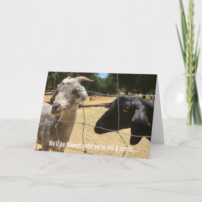 Vänner för evigt dum kort (Framsida)