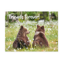 Vänner för evigt vykort