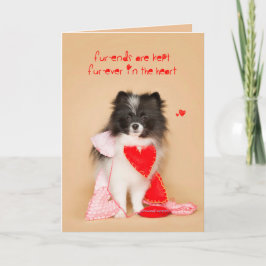 Vänner för Pommern Puppy Valentine Helgkort