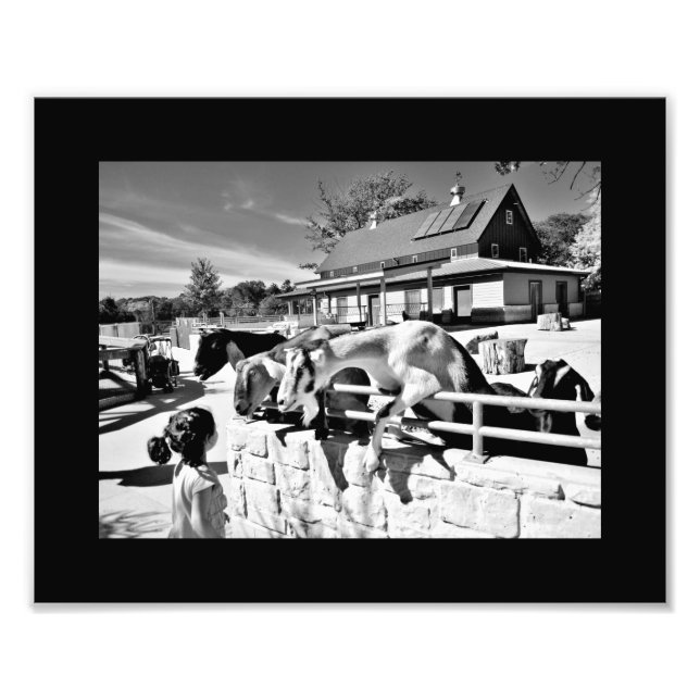 Vänner Fototryck (Framsidan)