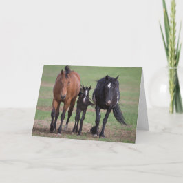 Vänner - Galloping to Freedom Greeting Card Kort