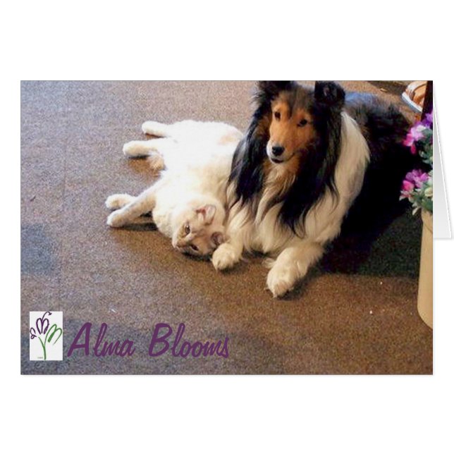 Vänner Hälsningskort (Framsidan Horizontal)