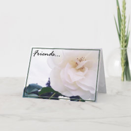 Vänner hälsningskort 2 kort