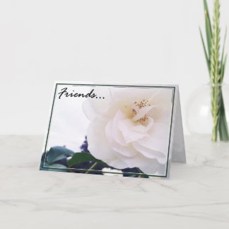 Vänner hälsningskort 2 kort