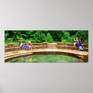 Vänner i Buffalo Vår III - Färg mättad Poster