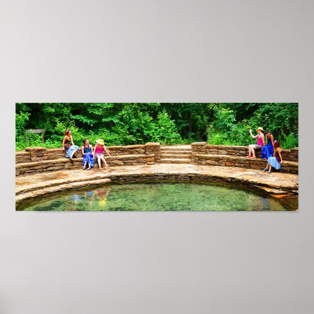 Vänner i Buffalo Vår III - Färg mättad Poster (Framsidan)