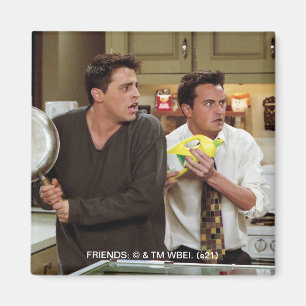 VÄNNER™  Joey & Chandler Skrämt Magnet