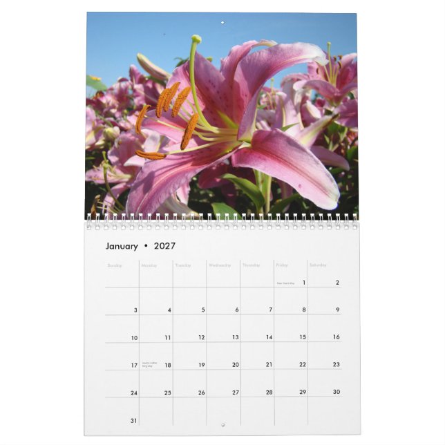 VÄNNER! Kalender Liljor Blommor Julpresenter (Jan 2027)
