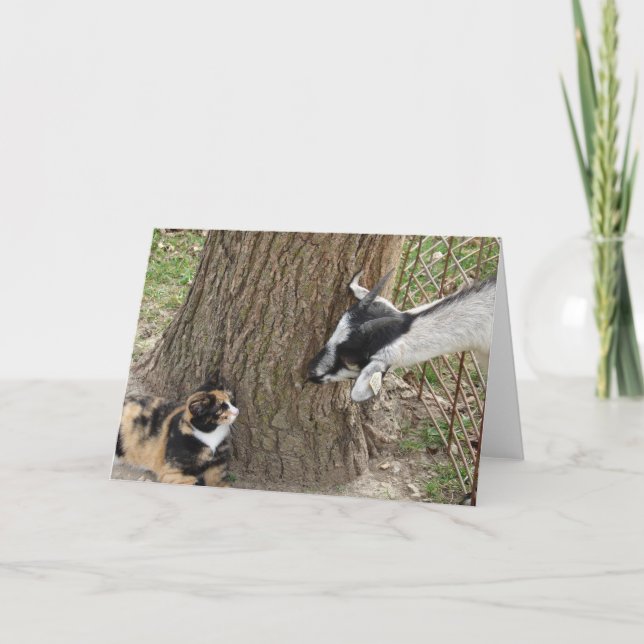 Vänner Kort (Framsida)