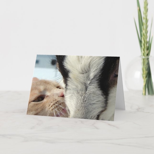 Vänner Kort (Framsida)