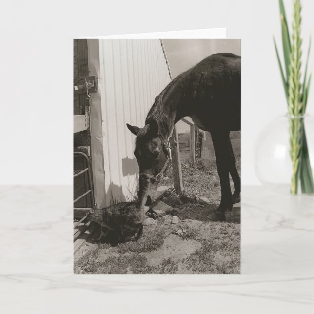 Vänner Kort (Framsida)