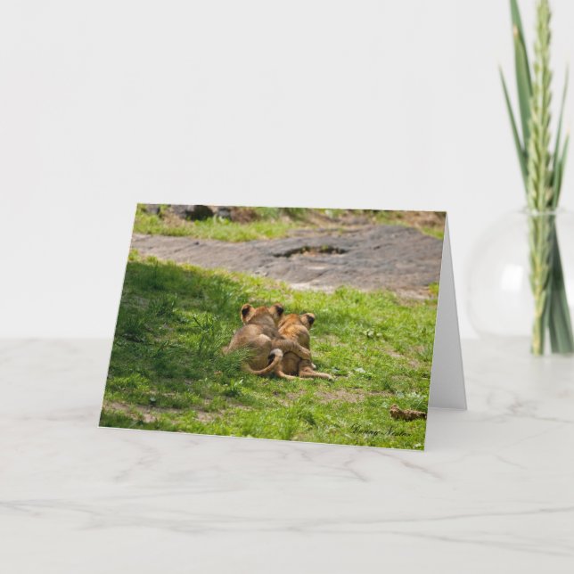 Vänner Kort (Framsida)