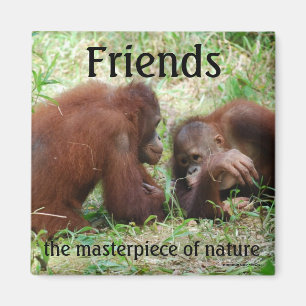 Vänner, kvadratmagnet magnet