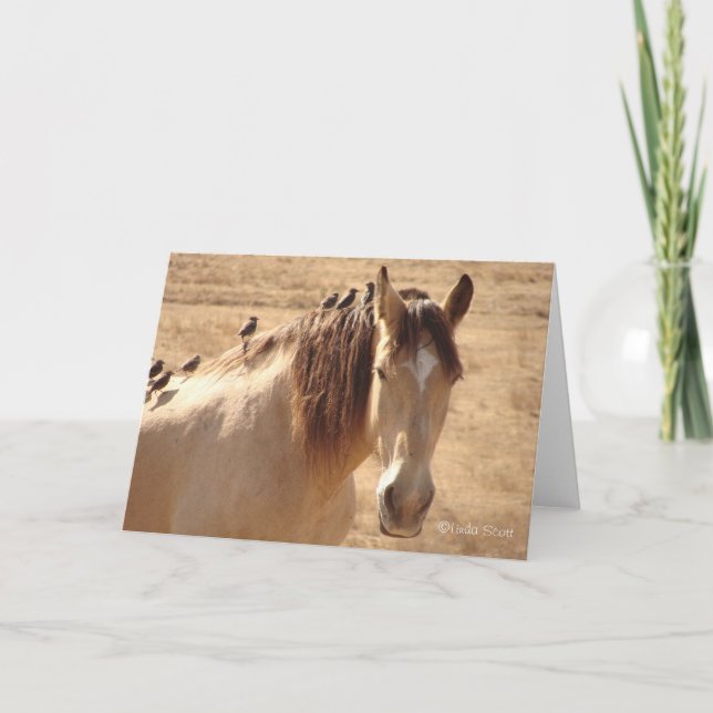 Vänner ©Linda Scott Kort (Framsida)