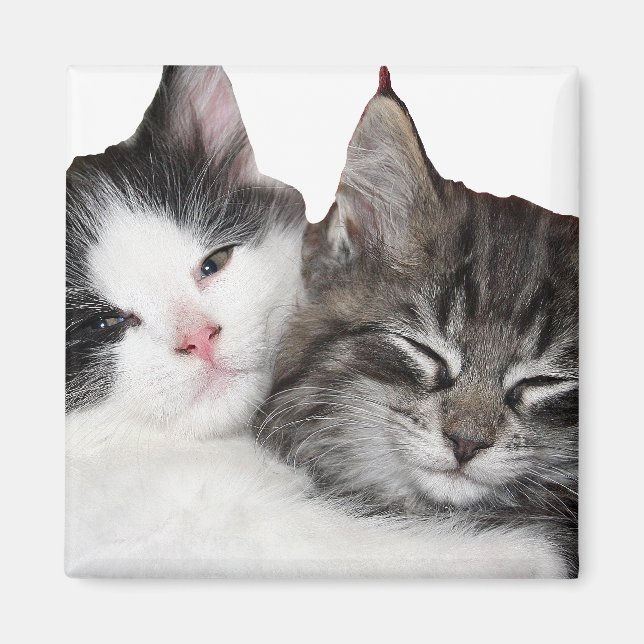 Vänner Magnet (Framsidan)