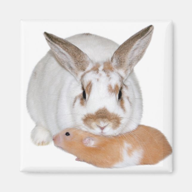 Vänner Magnet (Framsidan)