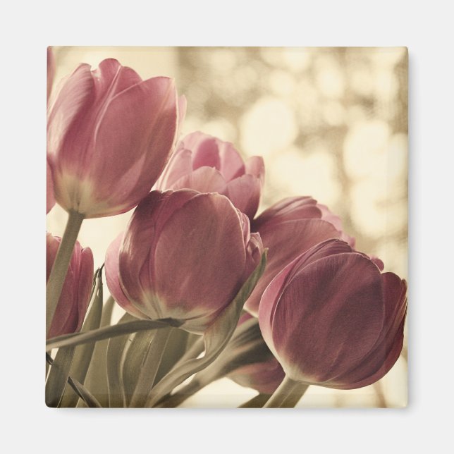 Vänner Magnet (Framsidan)