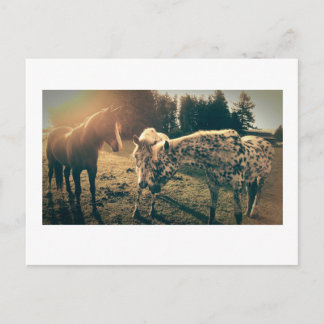 Vänner på vägar på landsbygden vykort