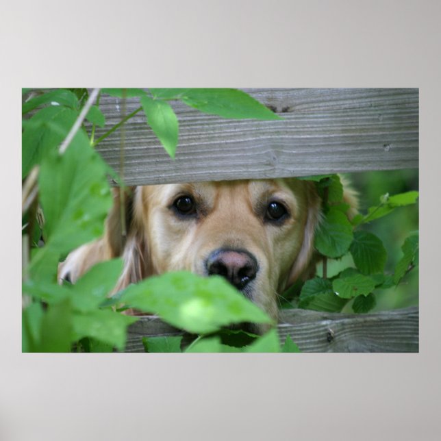 Vänner Poster (Framsidan)