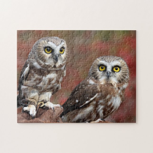 Vänner Pussel (Horisontell)