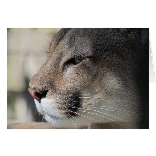 Vänner så Underbart som du - Sockerkort Hälsningskort (Framsidan Horizontal)