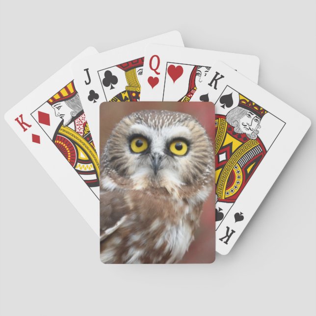 Vänner Spelkort (Baksidan)