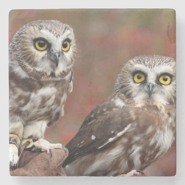 Vänner Stenunderlägg (Framsidan)