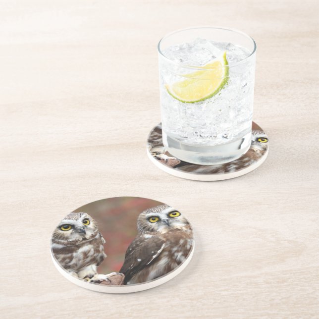 Vänner Underlägg (Sidan)