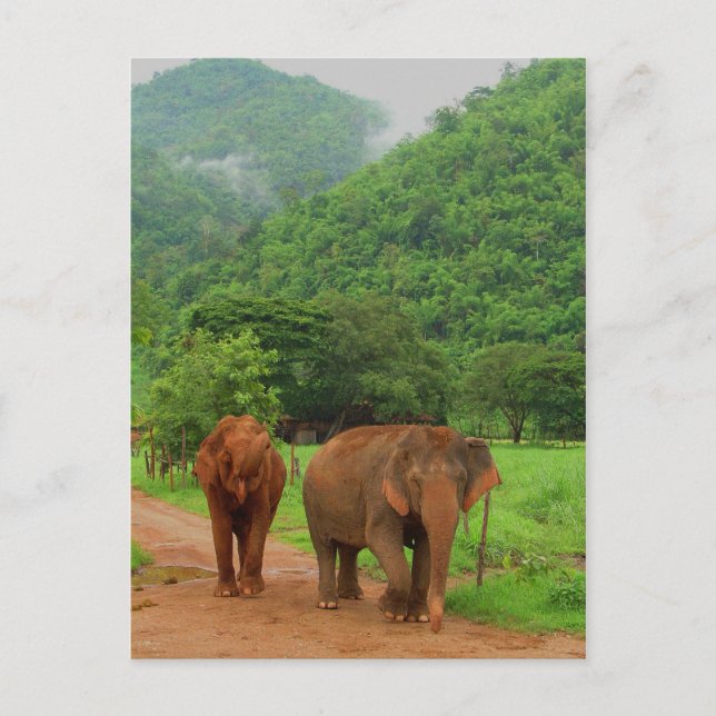 Vänner Vykort (Framsida)