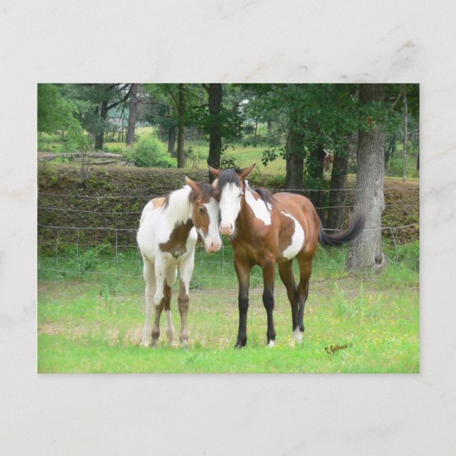 Vänner vykort (Framsida)