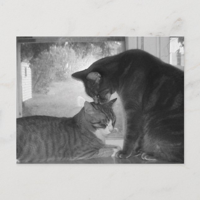 Vänner vykort (Framsida)