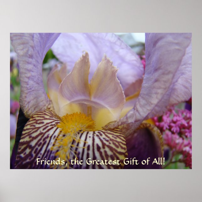 VÄNNERS STÖRSTA GÅVA Konsttryck Purpur Iris Blomma Poster (Framsidan)