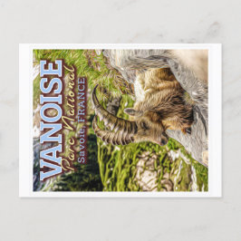 VANOISE NATIONAL PARK - SAVOIE FRANKRIKE - IBEX VYKORT