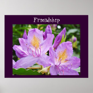 Vänskap Art skriver ut Lila Rhodies Flowers Poster