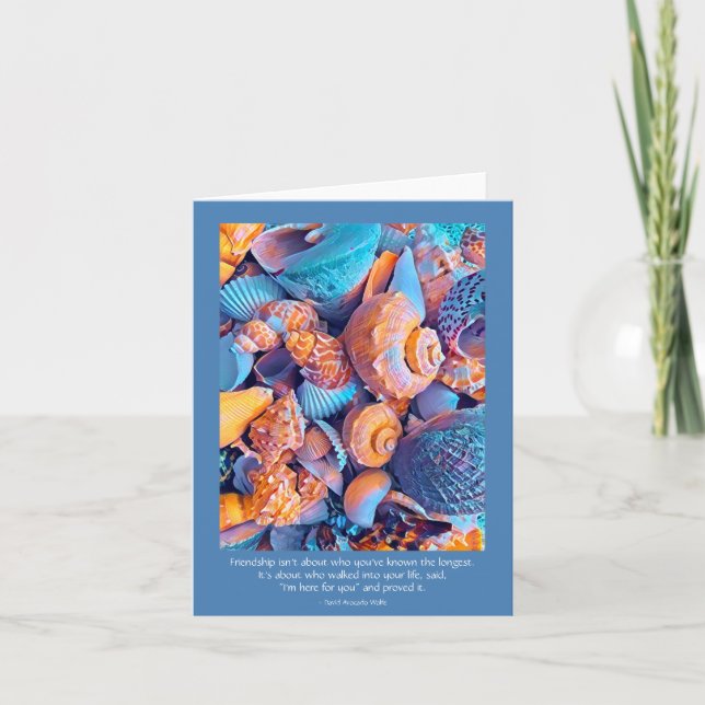 Vänskap Card med Seashells-bild Kort (Framsida)