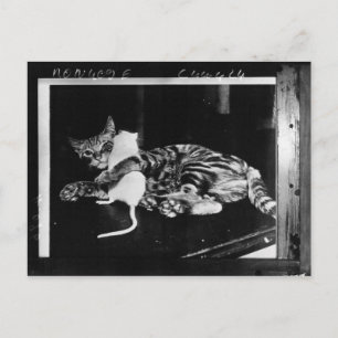 Vänskap - Cat Minnie och Mike Mouse Vykort