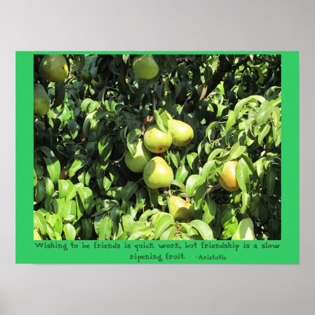 Vänskap citat från Aristoteles Poster (Framsidan)