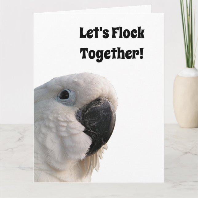Vänskap Day Cockatoo Flock Together Funny Photo Kort (Framsida)