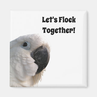 Vänskap Day Cockatoo Flock Together Funny Photo Magnet