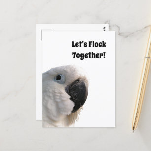 Vänskap Day Cockatoo Flock Together Funny Photo Vykort