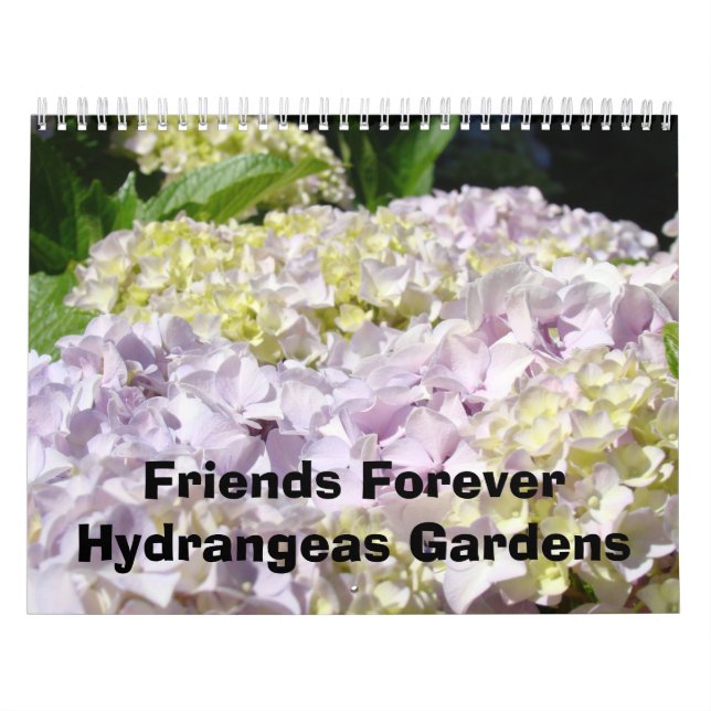 Vänskap för evigt Hydrangea Trädgård Kalendrar Kalender (Omslag)