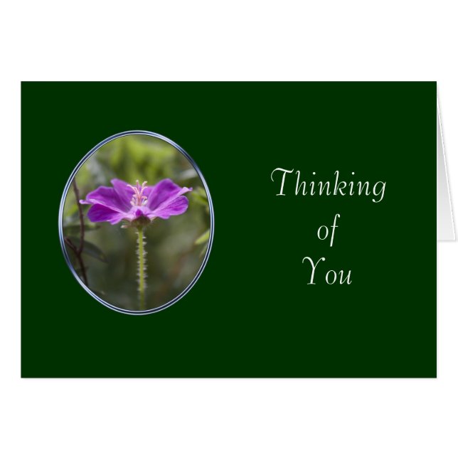 vänskap hälsningskort (Framsidan Horizontal)