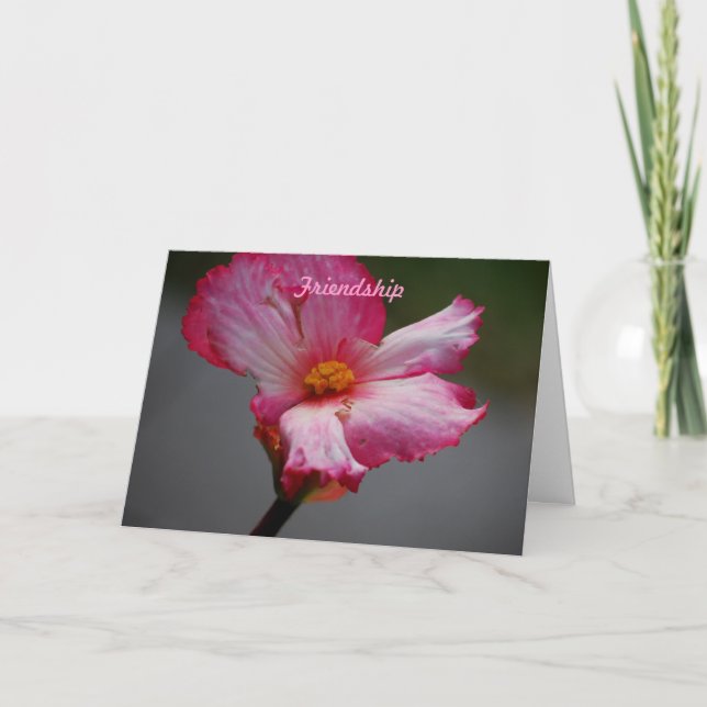 Vänskap Helgkort (Framsida)