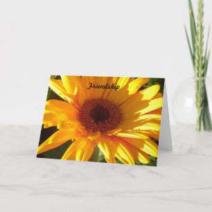 Vänskap Kort