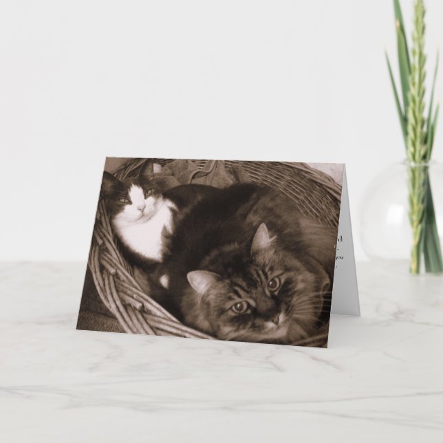 Vänskap Kort (Framsida)