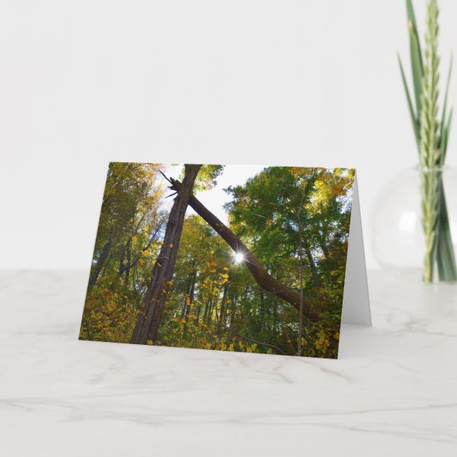 Vänskap-kort Kort (Framsida)