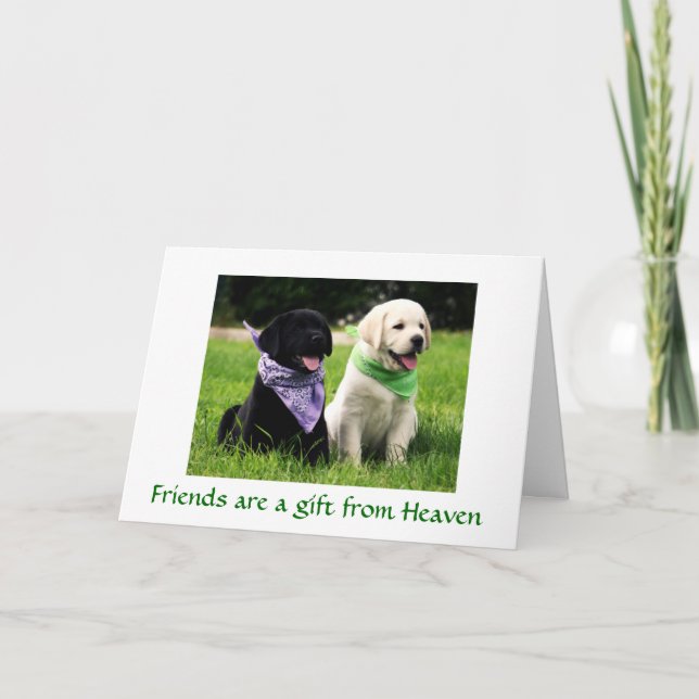 Vänskap Labrador Retriever Puppies Card Kort (Framsida)